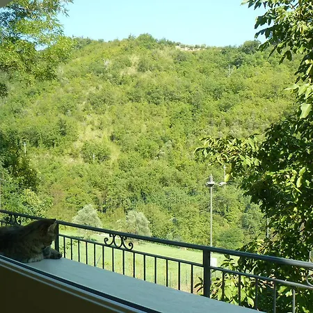 La Finestra Sul Verde *